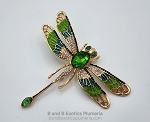 STUNNING DRAGONFLY PIN OR PENDANT P349