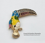 STUNNING TOUCAN PIN P479